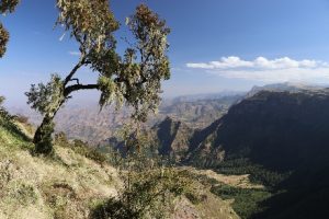 Ethiopië Simiem Mountains