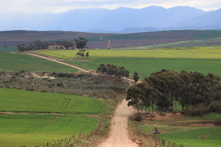 Zuid-Afrika