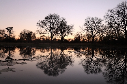 Okavango Delta Botswana