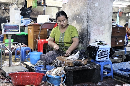 Myanmar Yangon