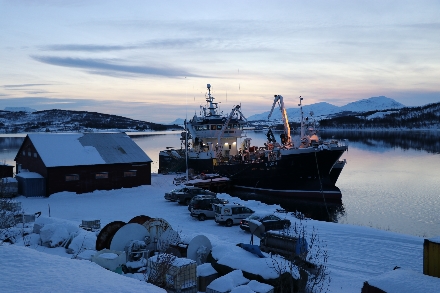 Noorwegen Winteravontuur Tromso