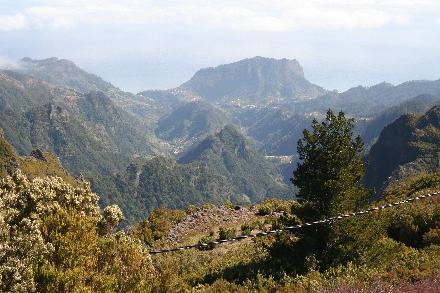 Madeira Portugal Bloemeneiland wandelen