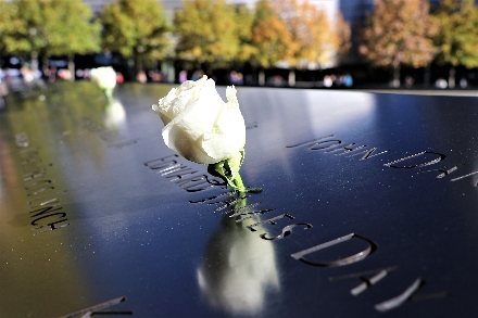 New York City Ground Zero