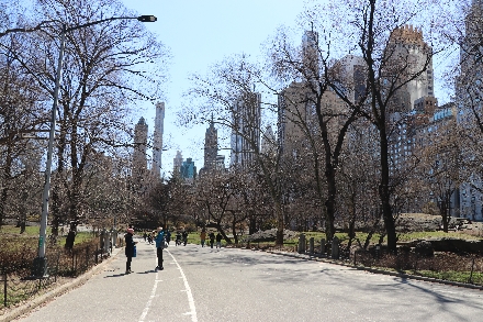 New York City Central Park