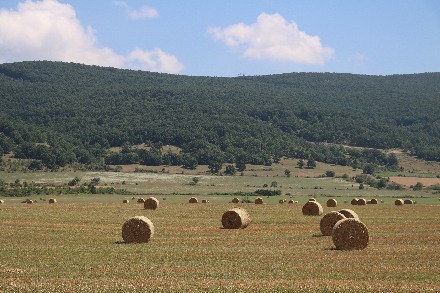 Bulgarije rondreis