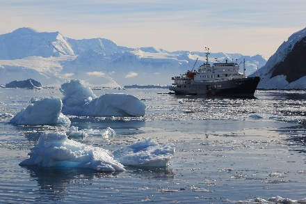 Cruisereizen Cruisereis Antarctica