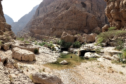 Oman Wadi