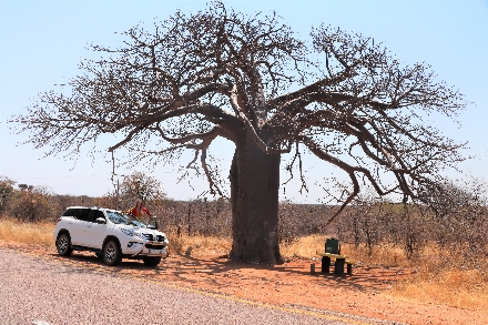 Rondreis Zuid Afrika