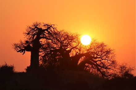 Rondreis Zuid Afrika