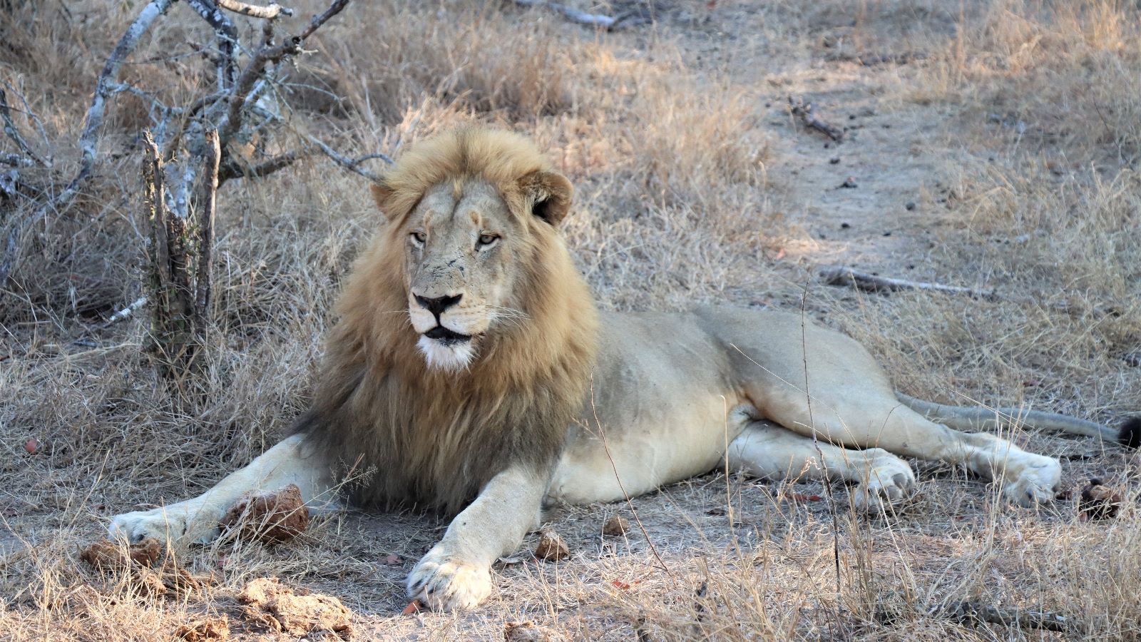 Rondreis Zuid Afrika