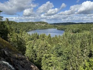 Natuur in Zweden