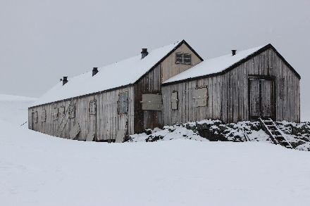 Antarctica Cruisereis 