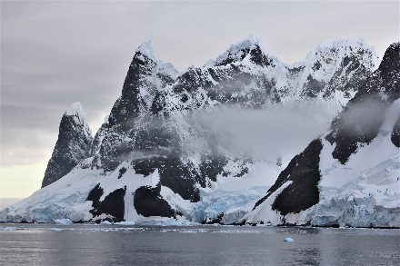 Antarctica Cruisereis expeditiereis