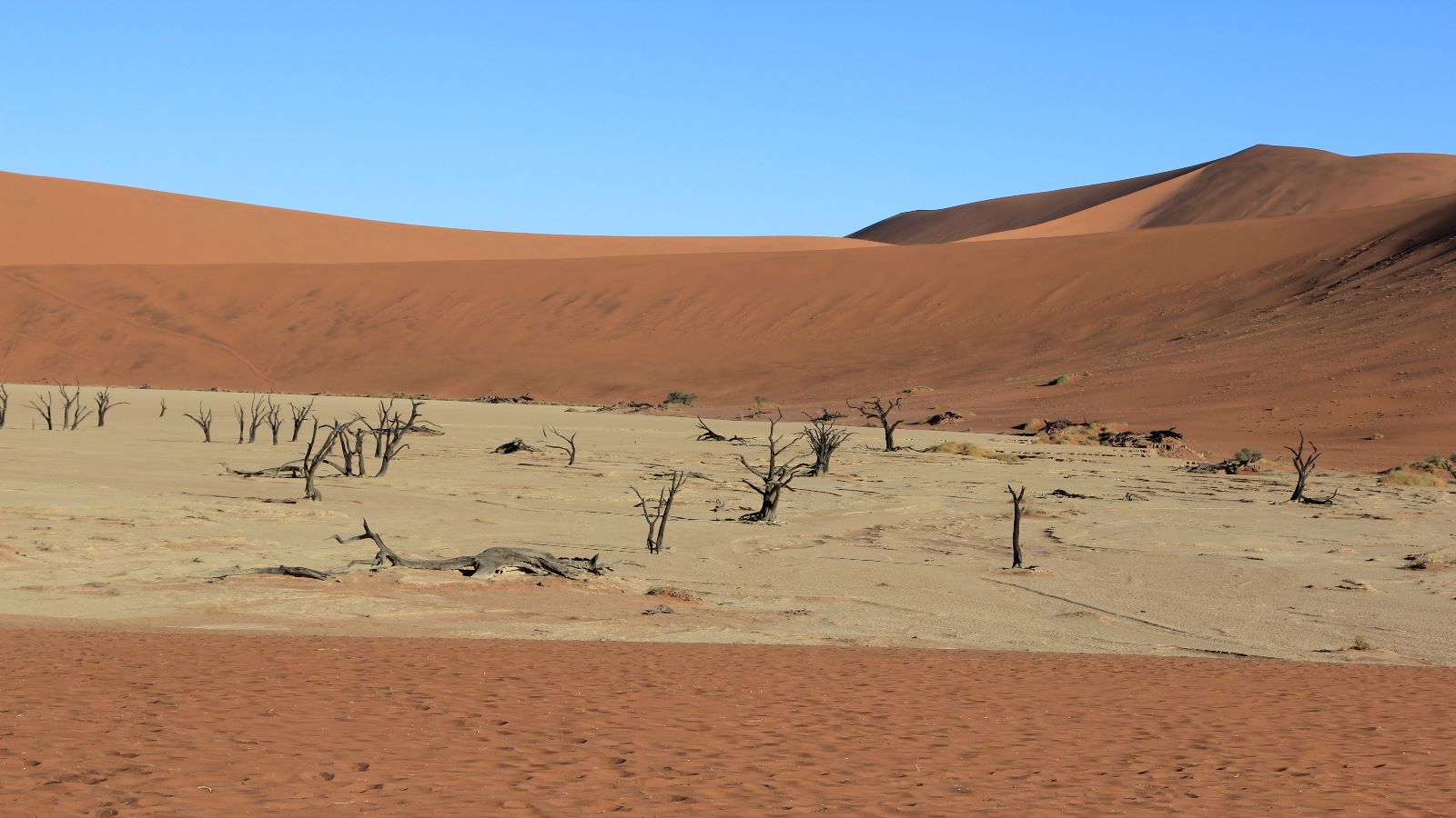 Namibië Sossusvlei