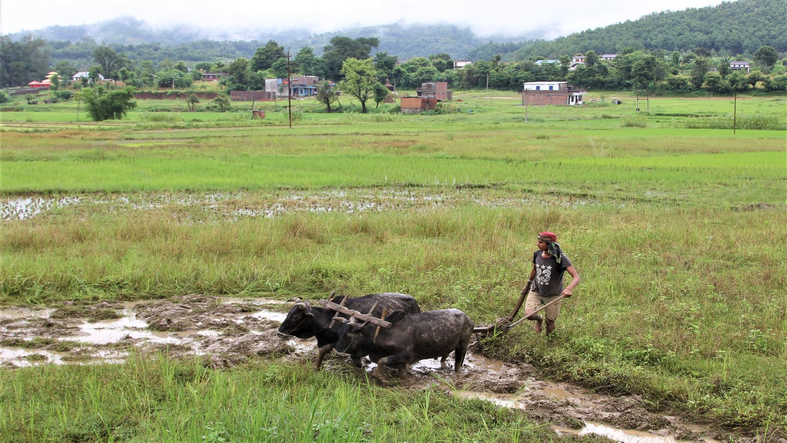 Nepal