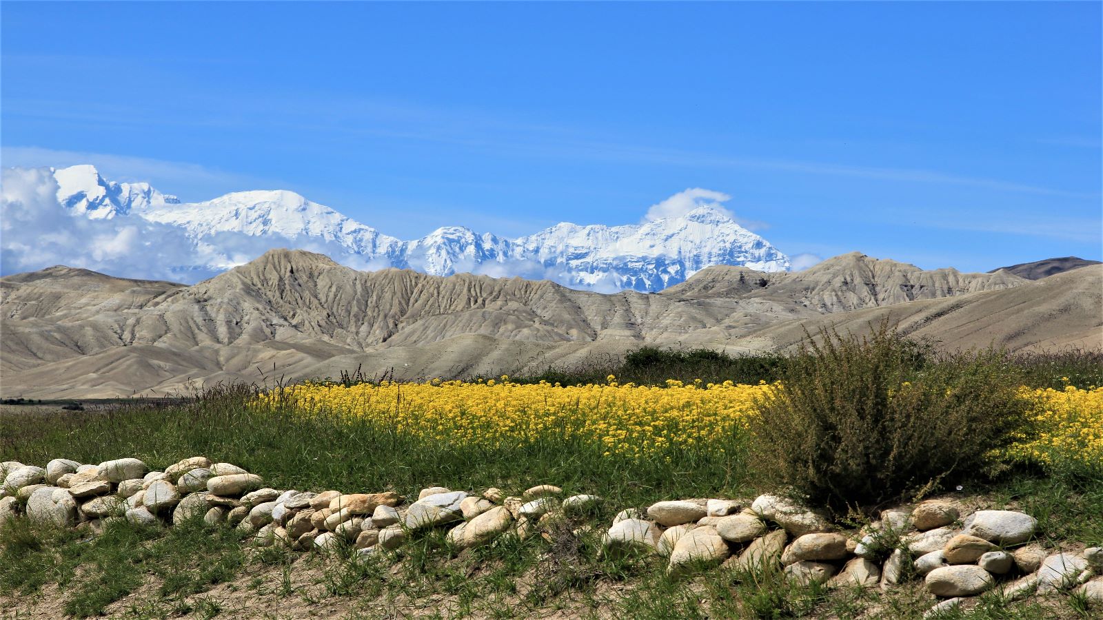 Nepal