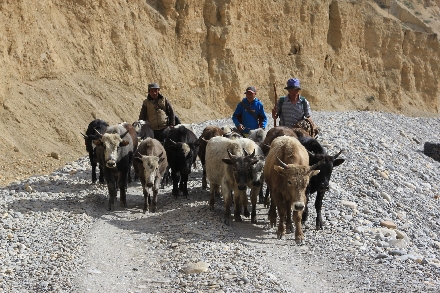 Nepal