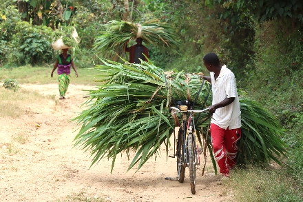 Congo Nile Trail Rwanda