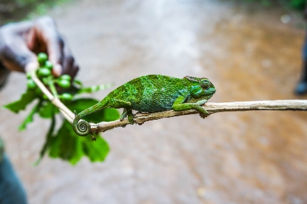 Tanzania