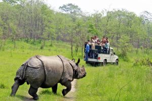 Chitwan Nepal