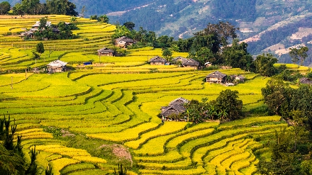 Hà Giang Vietnam