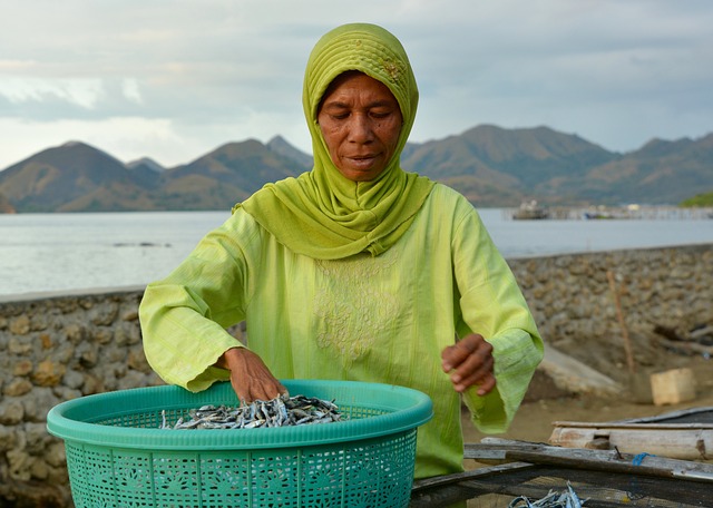 Indonesië