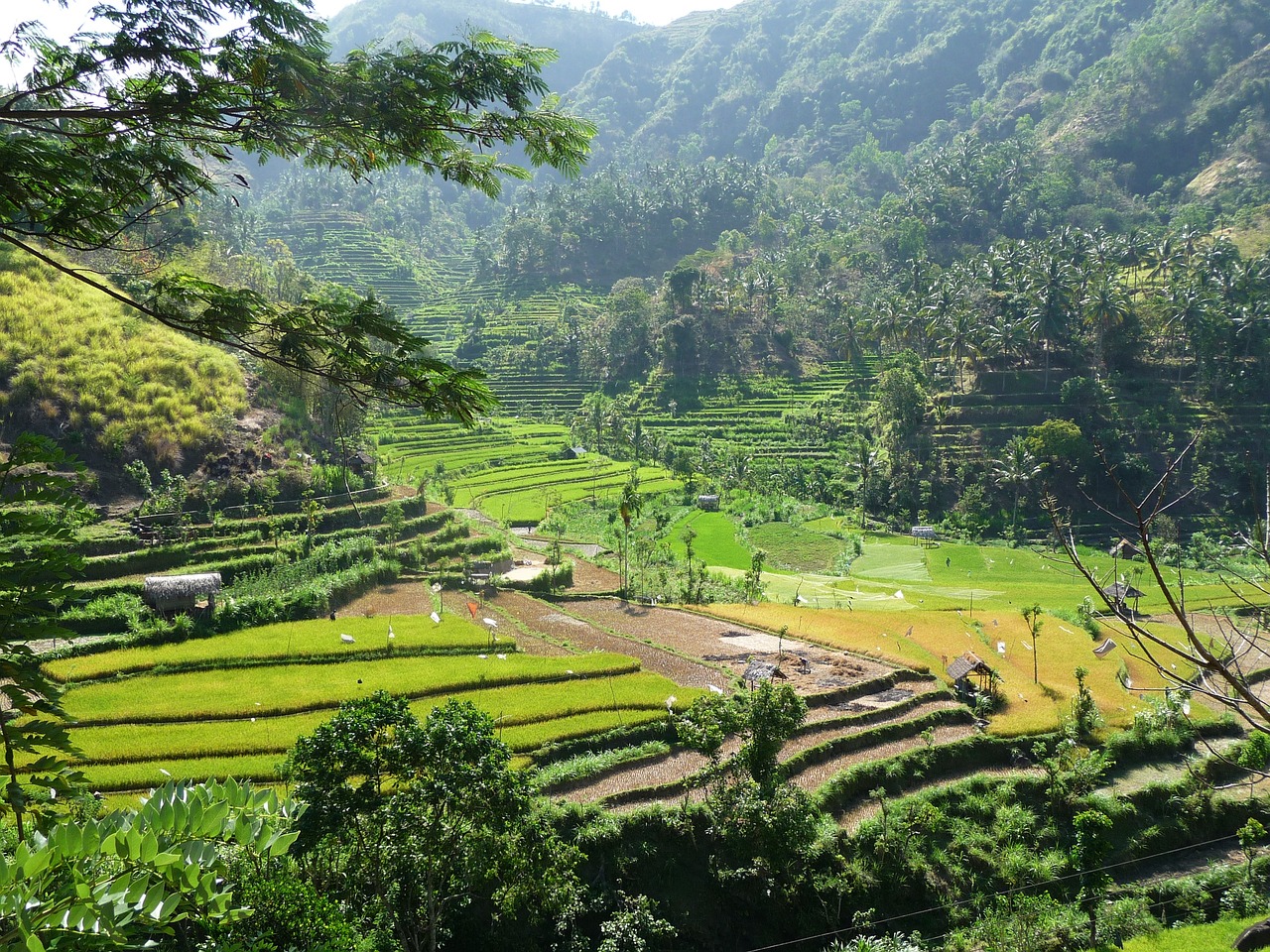 Indonesië