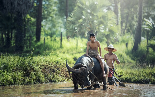 Indonesië