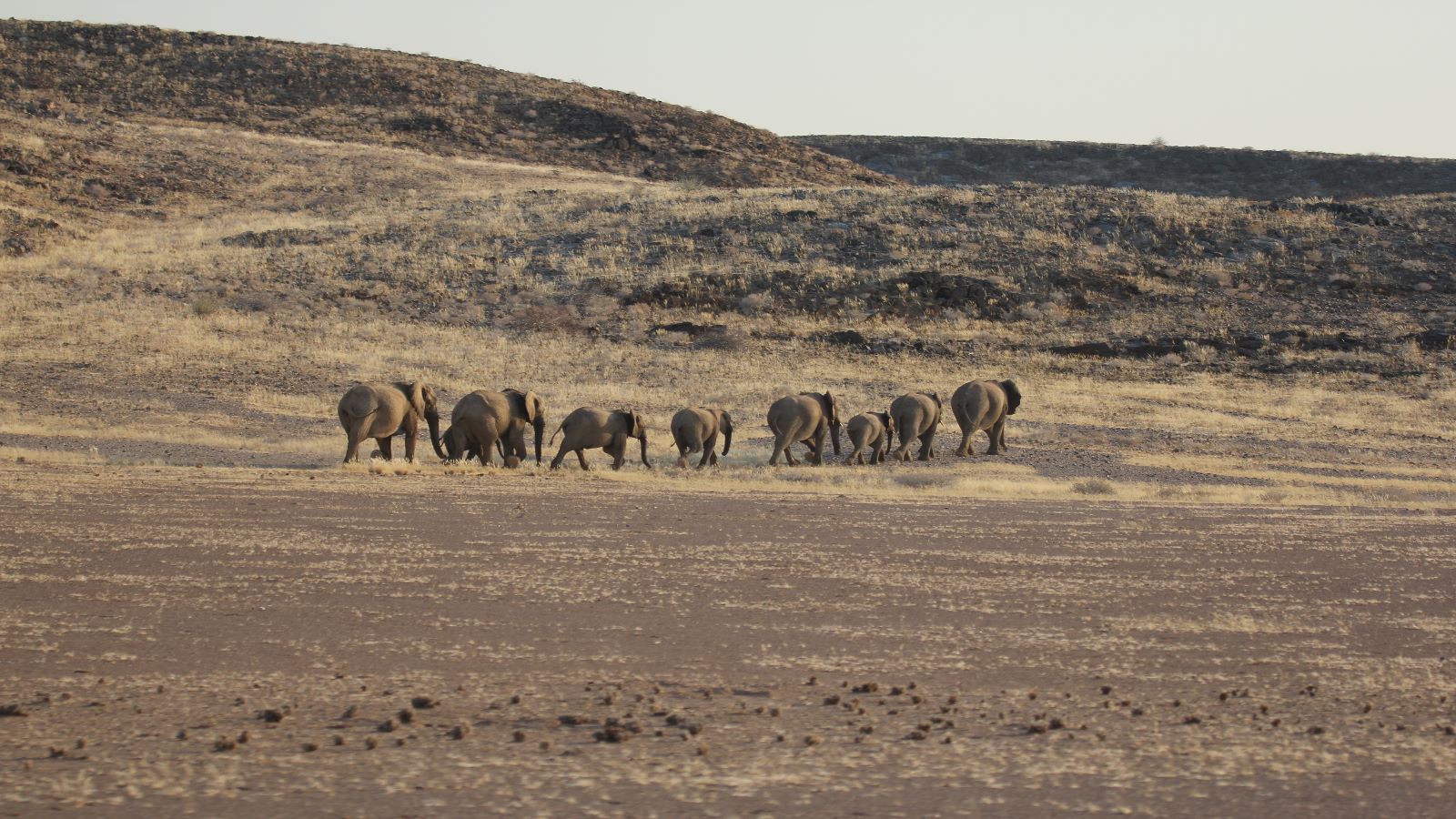 Namibië