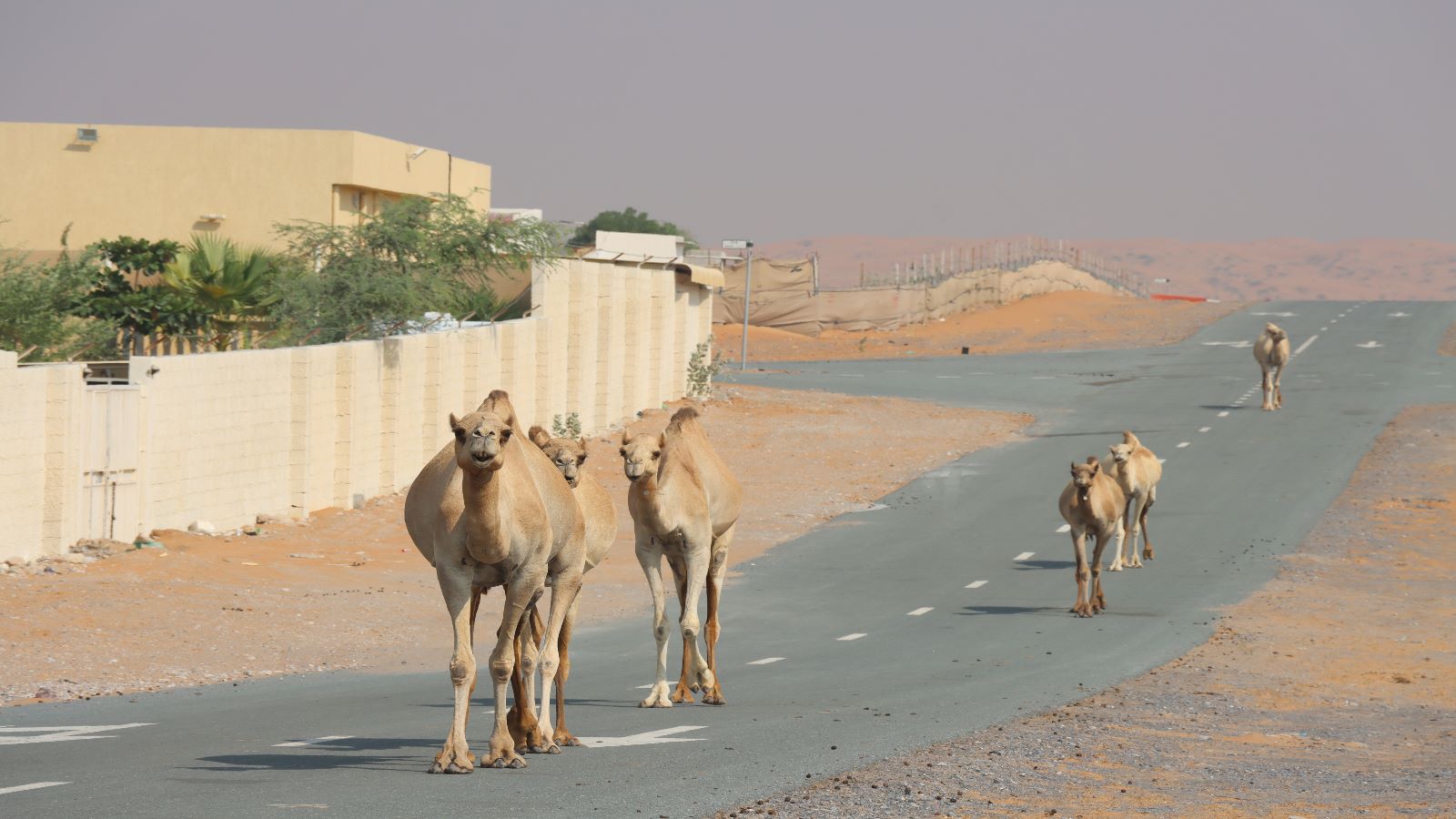 Ras Al Khaimah UAE