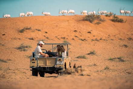 Ras Al Khaimah UAE Verenigde Arabische Emiraten