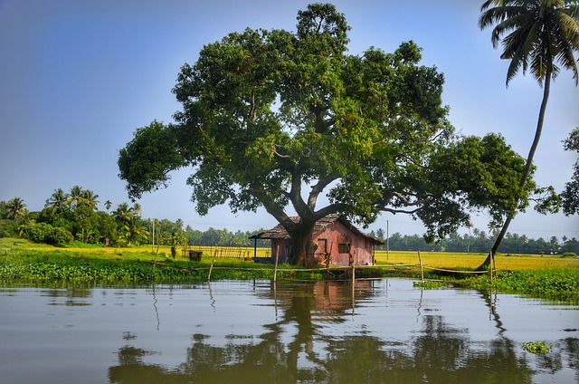 Alleppey India