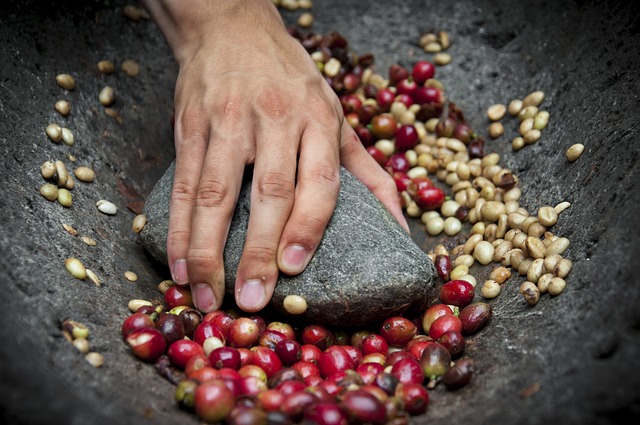 coffee Panama