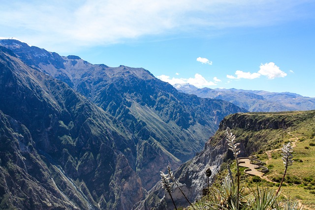 Peru Colca Canyon