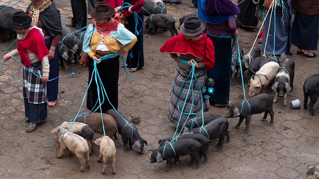 Guamote Ecuador