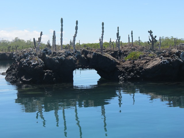 Galapagos Eilanden Ecuador