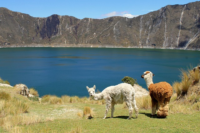 Andes Ecuador