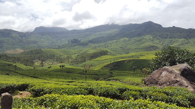 Munnar India