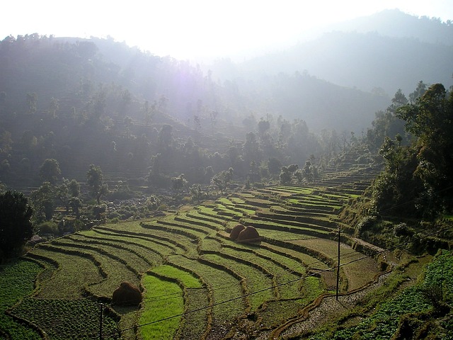 Nepal