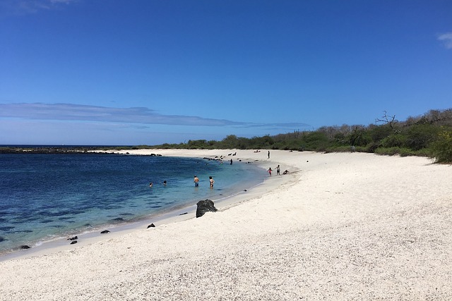 Galápagos Eilanden Ecuador