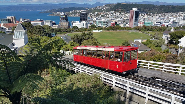 Wellington Nieuw Zeeland