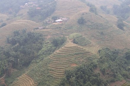 Vietnam Sapa trekking studiereis