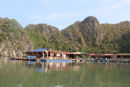 Vietnam Halong Bay studiereis rondreis