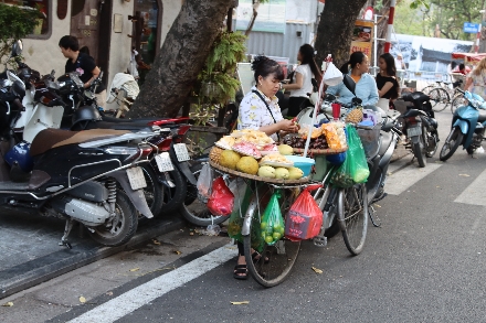 Vietnam Hanoi studiereis rondreis