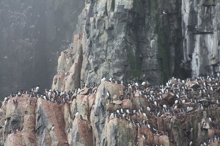 Spitsbergen Svalbard