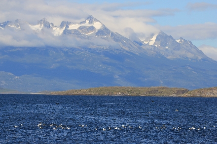 South Georgia Antarctica expeditie