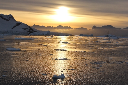 Antarctica Expeditie reis South Shetlandeilanden