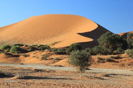 Rode Zandduinen Sossusvlei Namibië