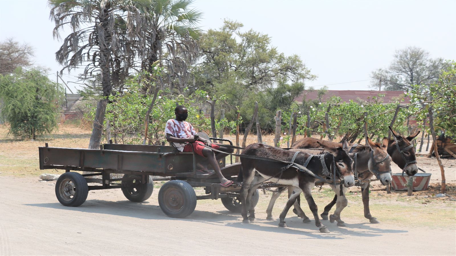 Botswana Afrika Selfdrive Rondreis Maatwerkreizen