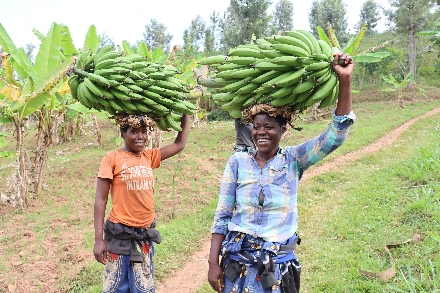 Congo Nile Trail Rwanda Afrika Wandeltocht Kivumeer